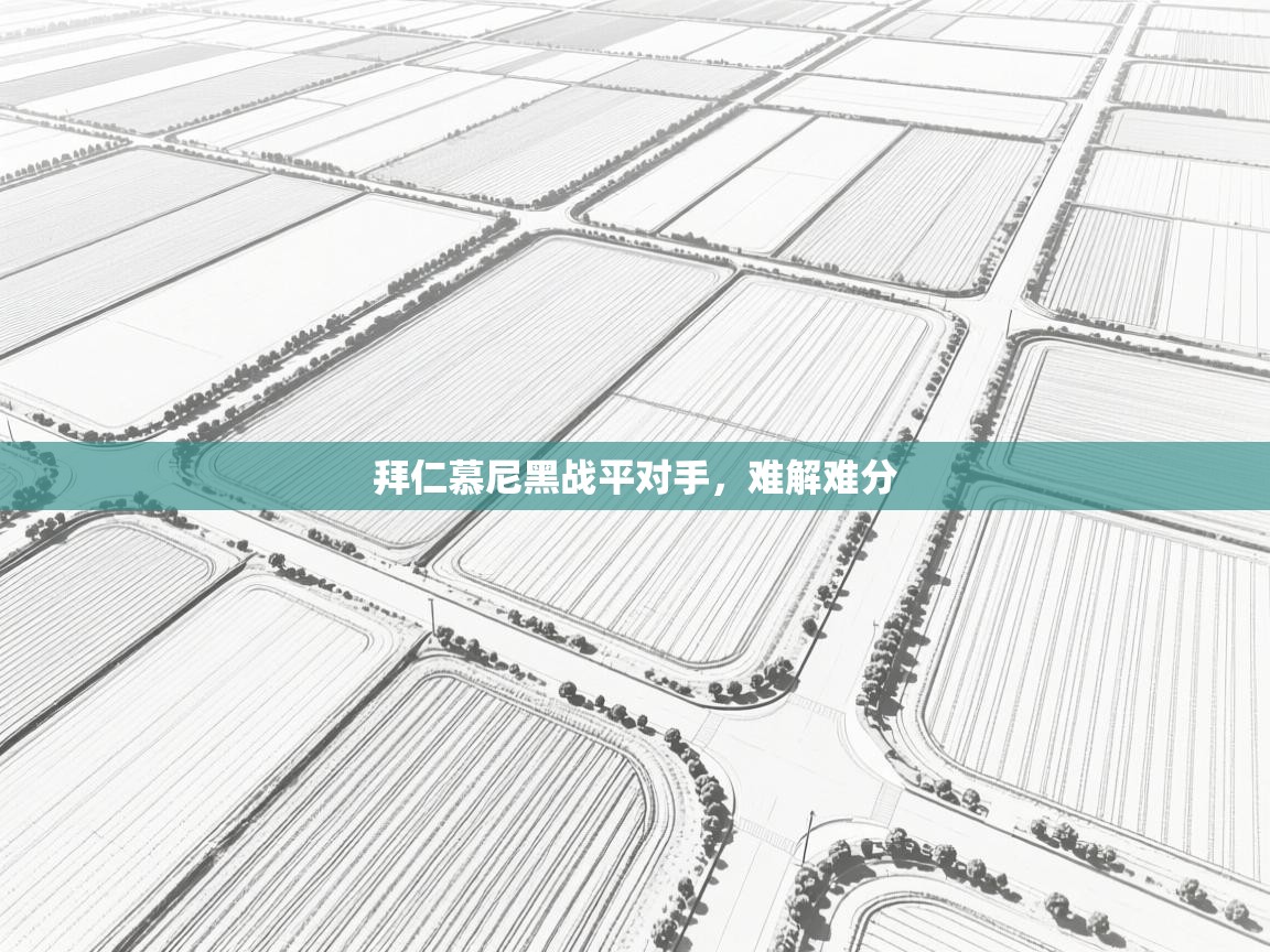 拜仁慕尼黑战平对手，难解难分  第2张