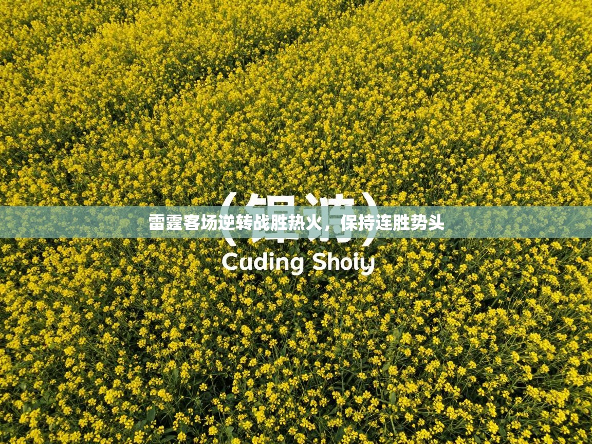 雷霆客场逆转战胜热火，保持连胜势头  第1张