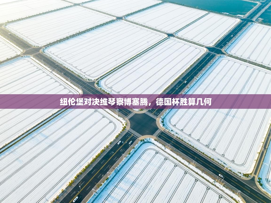 纽伦堡对决维琴察博塞腾，德国杯胜算几何  第1张