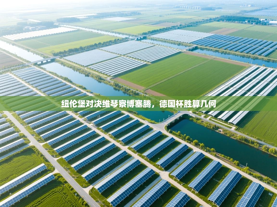 纽伦堡对决维琴察博塞腾，德国杯胜算几何  第2张