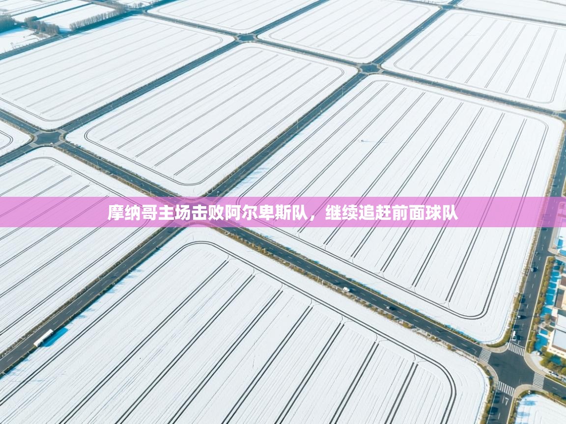 摩纳哥主场击败阿尔卑斯队，继续追赶前面球队  第1张