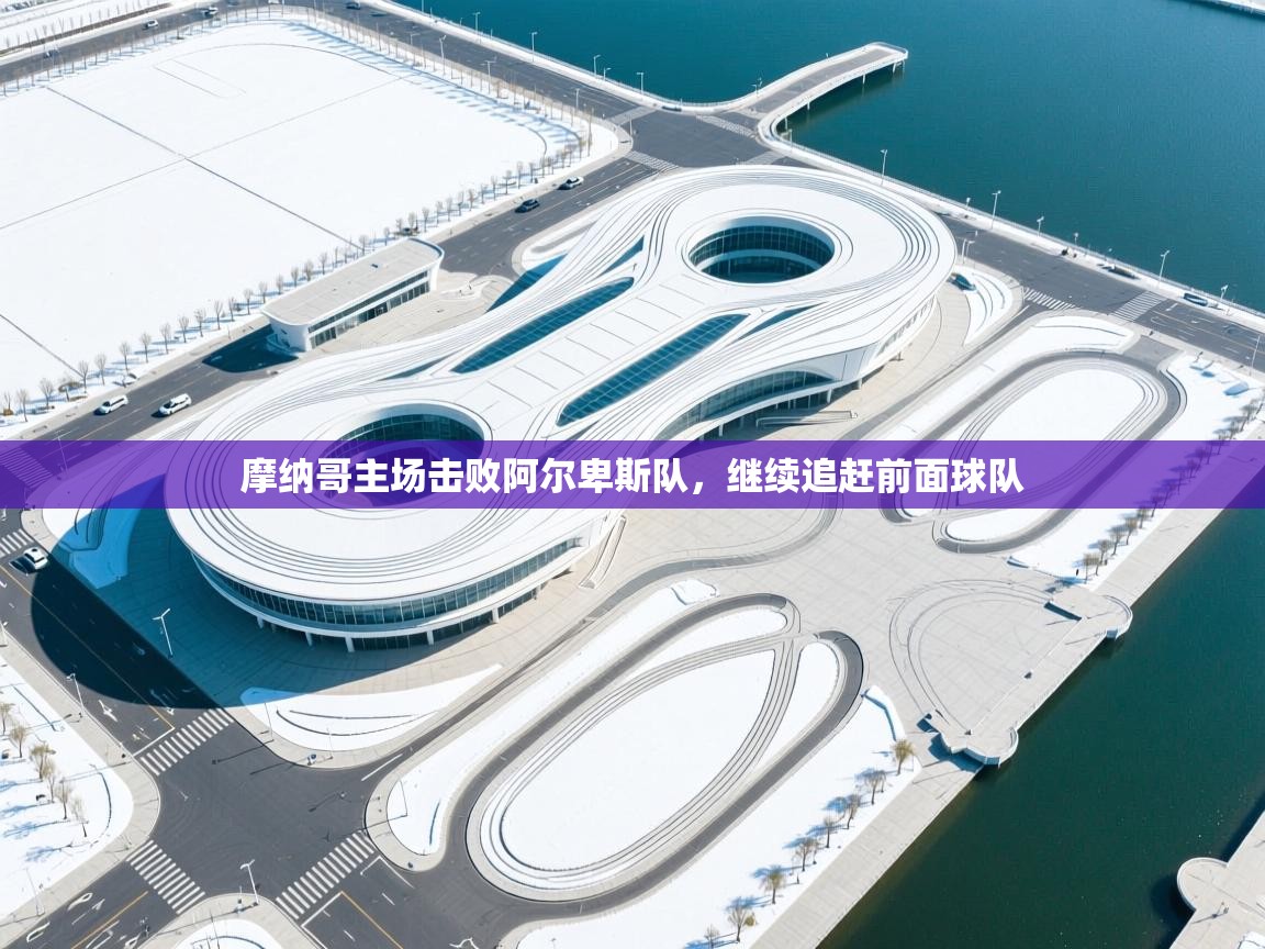 摩纳哥主场击败阿尔卑斯队，继续追赶前面球队  第2张