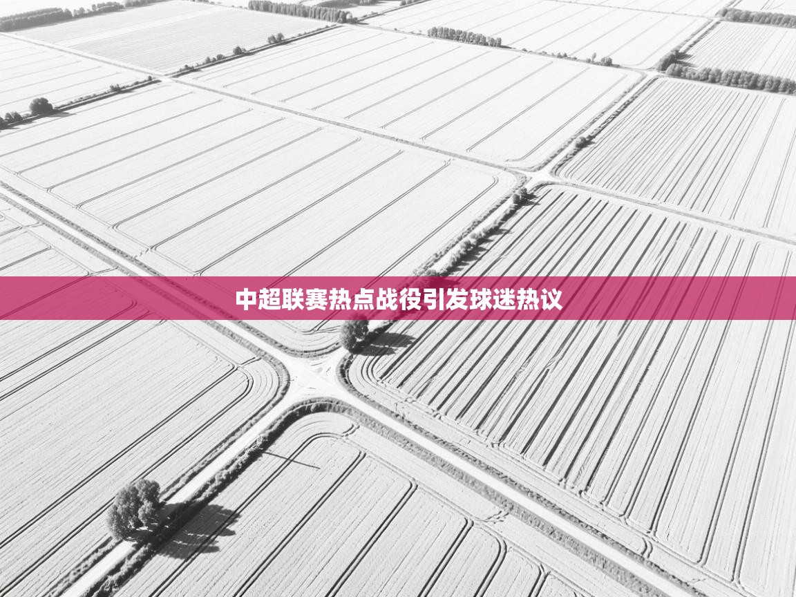 中超联赛热点战役引发球迷热议  第1张