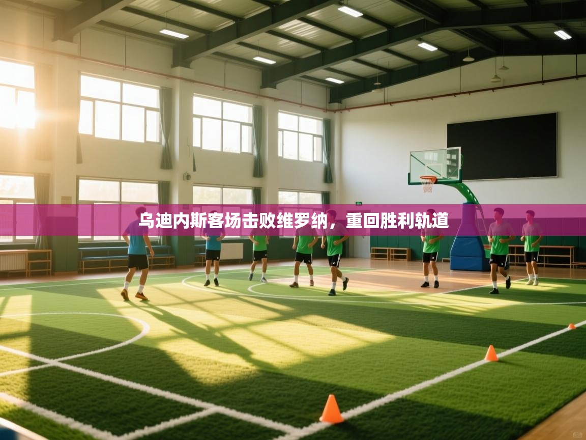 乌迪内斯客场击败维罗纳，重回胜利轨道  第1张