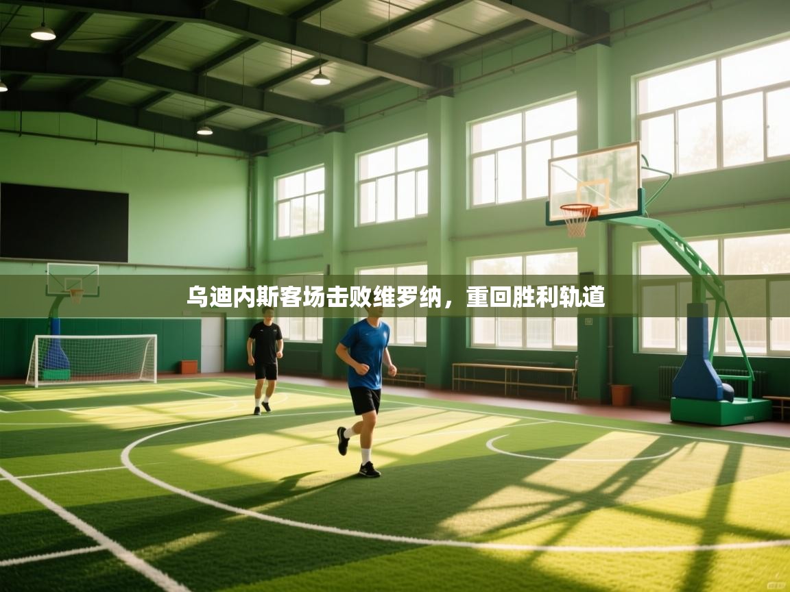 乌迪内斯客场击败维罗纳，重回胜利轨道  第2张