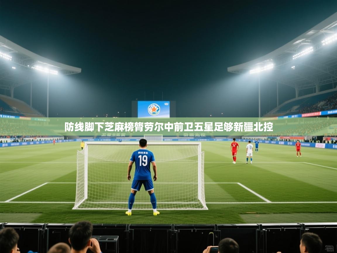 防线脚下芝麻榜膂劳尔中前卫五星足够新疆北控 第2张